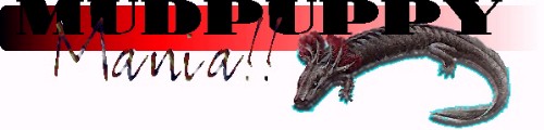Mudpuppy Mania!!